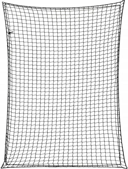 vidaXL Δίχτυ Αποσκευών Αυτοκινήτου 300x300cm Μαύρο