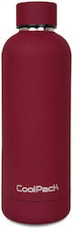 Coolpack Bonet Flasche Thermosflasche Rostfreie...