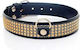 Halsband Kristalle Fetisch Boss Serie Gold 3cm