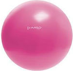 Abisal Übungsbälle Pilates 55cm in Rosa Farbe