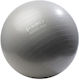 Abisal Ball Pilates 55cm in Gray Color