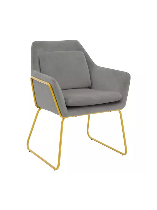 Mira Fotolii Sala de mese Catifelate Grey-Gold ...