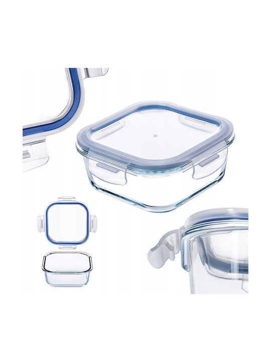 Kadax Glass Lunch Box Transparent 320ml