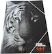 Ντοσιε Λαστιχο A4 No Fear Dark Tiger 348-25510