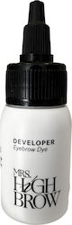 Mrs. Highbrown Brow Tint