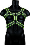 Immobilization Straps in Green Color