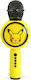 OTL Microfon Pokemon Pikachu Popsing
