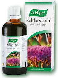 A.Vogel Tincture Boldocynara 50ml