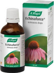A.Vogel Tinctură Echinaforce 50ml