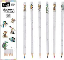Kiub Coloured Pencils Set 6 Colours