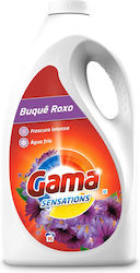 Gama Brands (90 Μεζούρες) Gama Brands (90 Μεζούρες)