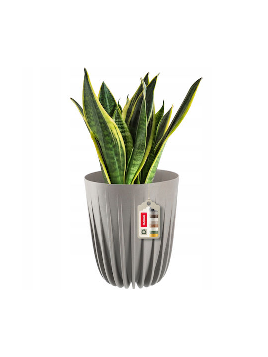 Kadax Flower Pot in Gray Color 183898