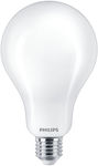 Philips Bulb Becuri LED pentru Soclu E27 Alb rece 1buc