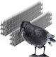 Kadax Abwehrspitzen Vögel