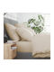 Nordic Paradise Bettbezug-Set Baumwolle Übergröße mit 2 Kissenbezügen & 1 Bettlaken 220x240 Ivory Biege