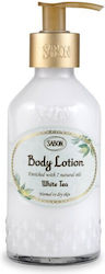 Body Lotion White Tea Bottle 200.00 Ml Body Lotion White Tea Bottle 200.00 Ml