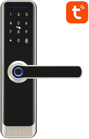Avatto Electronic Lock with ZigBee Connectivity Silver