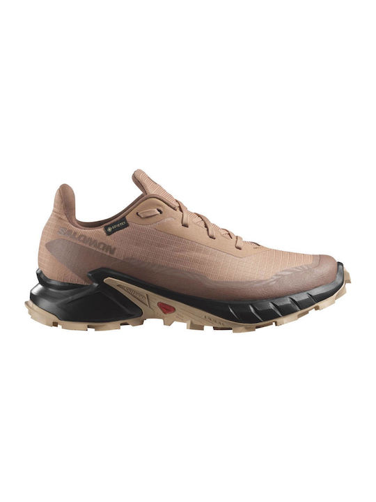 Aplhacross 5 GTX Sport Shoes Running Waterproof with Gore-Tex Membrane Cork / Black / Hazelnut - Salmon