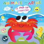 Open And Discover Marine Animals