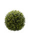 Epi Gis Artificial Bush Buxus (Common box) 1pcs