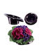 Kadax Ikebana Flower Pot Composition 12cm