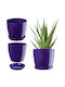 Kadax Plastic Flower Pot with Saucer 12cm Purple