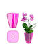 Kadax Orchideen-Übertopf Kunststoff-Blumentopf 12cm Pink