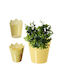 Kadax Flower Pot 16.5cm Colors
