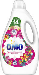 Omo (45 Μεζούρες) Omo (45 Μεζούρες)