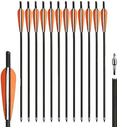 Carbon Arrows Mixed Carbon Material Removable Arrowhead 12pcs Arc