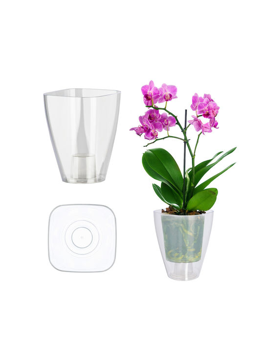 Kadax Flower Pot in Transparent Color 144337