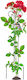 Kadax Plant Support Clamp Stand for Climbing Roses Steel 90cm