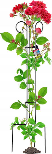 Kadax Plant Support Clamp Stand for Climbing Roses Steel 90cm