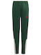 Kids Sweatpants Green Tiro
