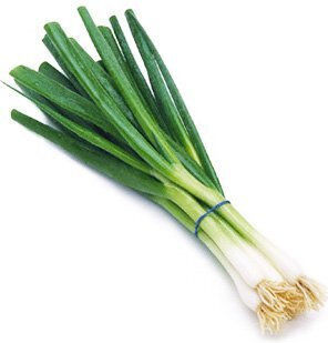Frische Frühlingszwiebel "Allium Cepa" 0,5g Samen