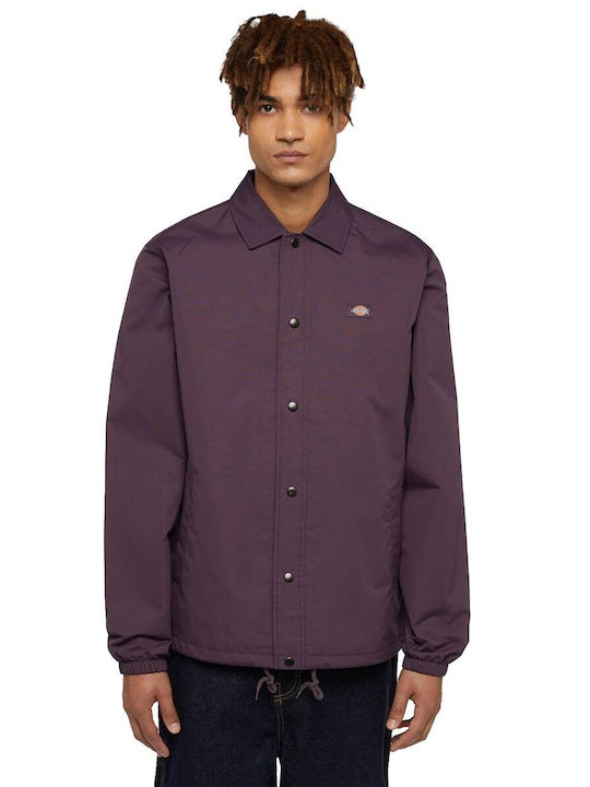 Dickies Oakport Coach Geacă pentru bărbați Rezistent la vânt Purple