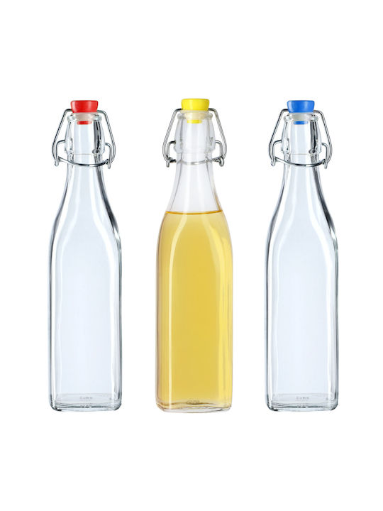 Kadax Flasche Wasser Glas mit Clip Transparent 500ml 3 Stück
