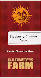 Barneys Farm Seeds Cannabis