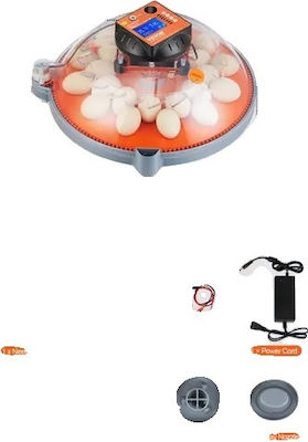 Egg Incubator