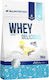 Whey Delicious Протеин Суроватъчен с Вкус Ванилия 700гр