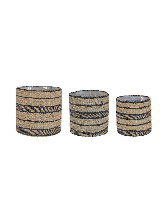 Set 3 Natural Seagrass Flower Baskets Black Rasbora