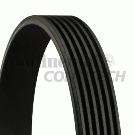 Audi A1 8x1 8xk 8xf Contitech 6pk737 Curea de Transmisie