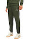 Gordon Sweatpants with Elastic Green