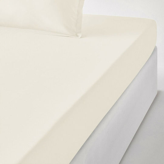 La Redoute Interieurs Cearșaf King Size cu Elastic 180x200+30cm. Percale