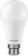 Toshiba LED Bulb 11W for Socket B22 and Shape A60 Cool White