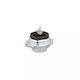 Bmw X5 E53 Fortune Line Fz90814 Motor Mount Support