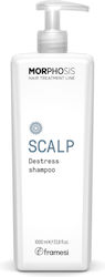 Framesi Morphosis Scalp Destress Shampoos Against Dry Scalp for Sensitive Scalp 1000ml Framesi Morphosis Scalp Destress Shampoos Against Dry Scalp for Sensitive Scalp 1000ml