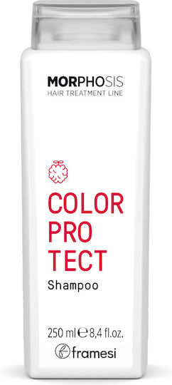 Framesi Morphosis Color Protect Shampoos for Coloured Hair 250ml