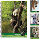 Spiral Notebook Platform 17x25 1 Subject Various Colors