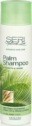 Farcom Seri Palm Shampoos Hydration & Shine 300ml